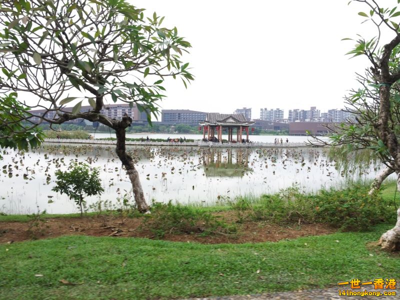 20121202_134433.jpg