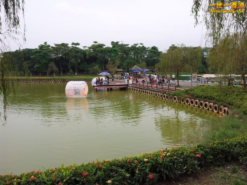 20121202_142134.jpg