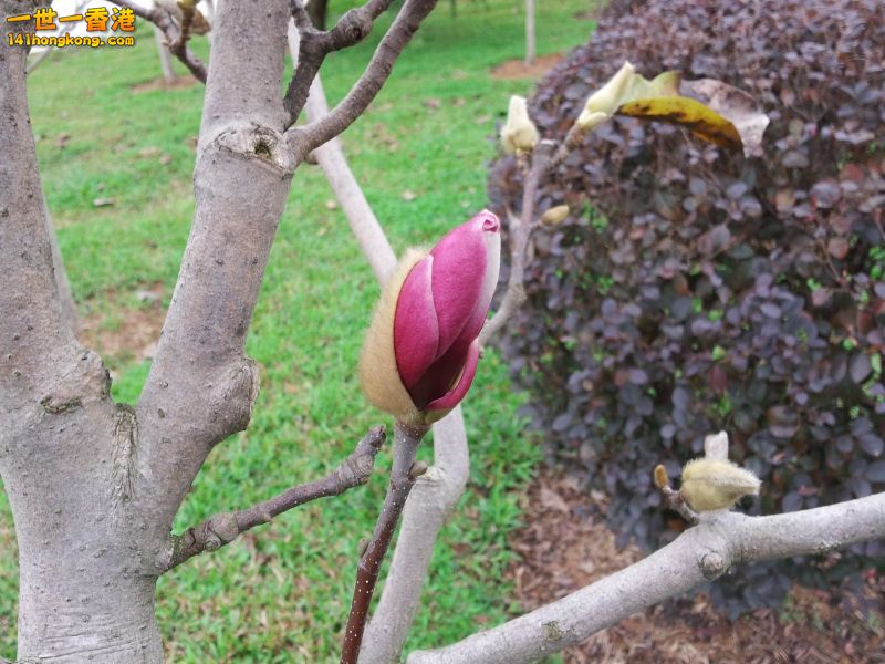 20121202_143356.jpg