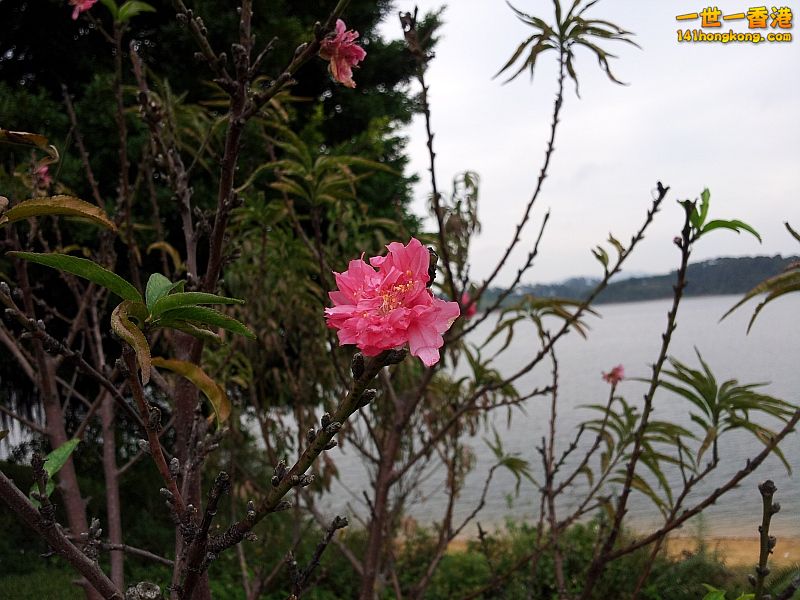 20121202_143555.jpg