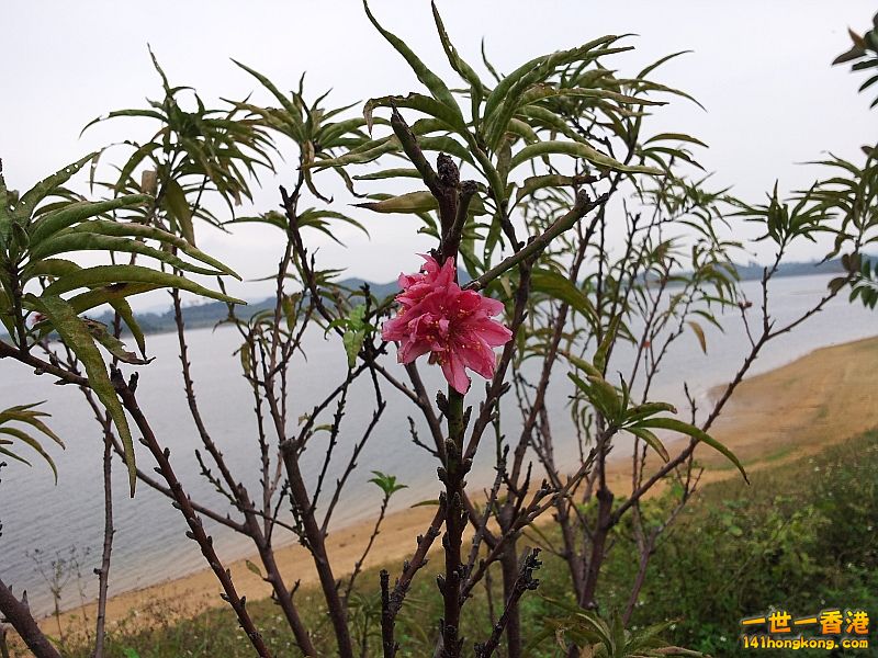 20121202_143623.jpg