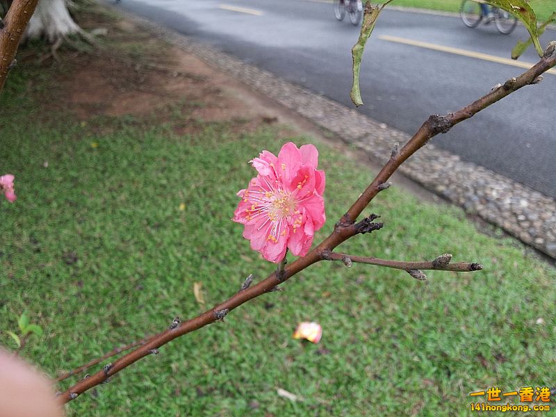 20121202_143758.jpg