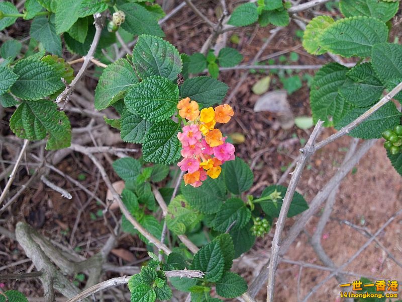 20121202_143947.jpg
