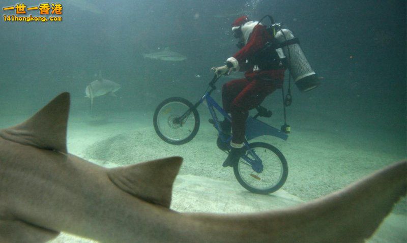 extreme-underwater-biking.jpg