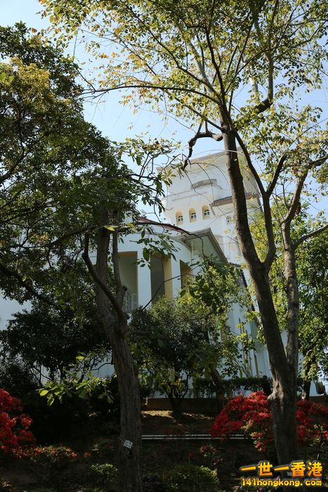 12.JPG