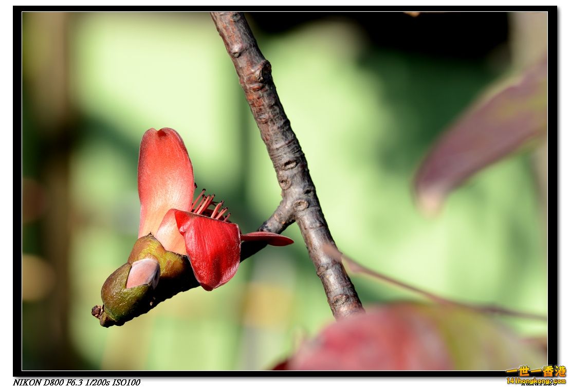 nEO_IMG_DSC_1520.jpg