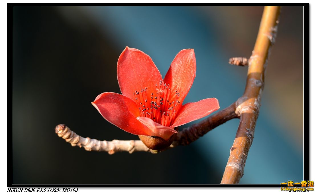 nEO_IMG_DSC_1543.jpg