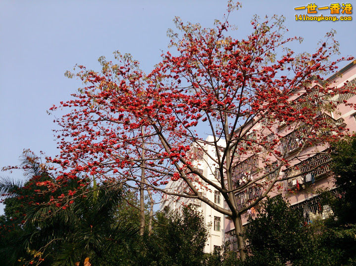 DSC_0004.jpg