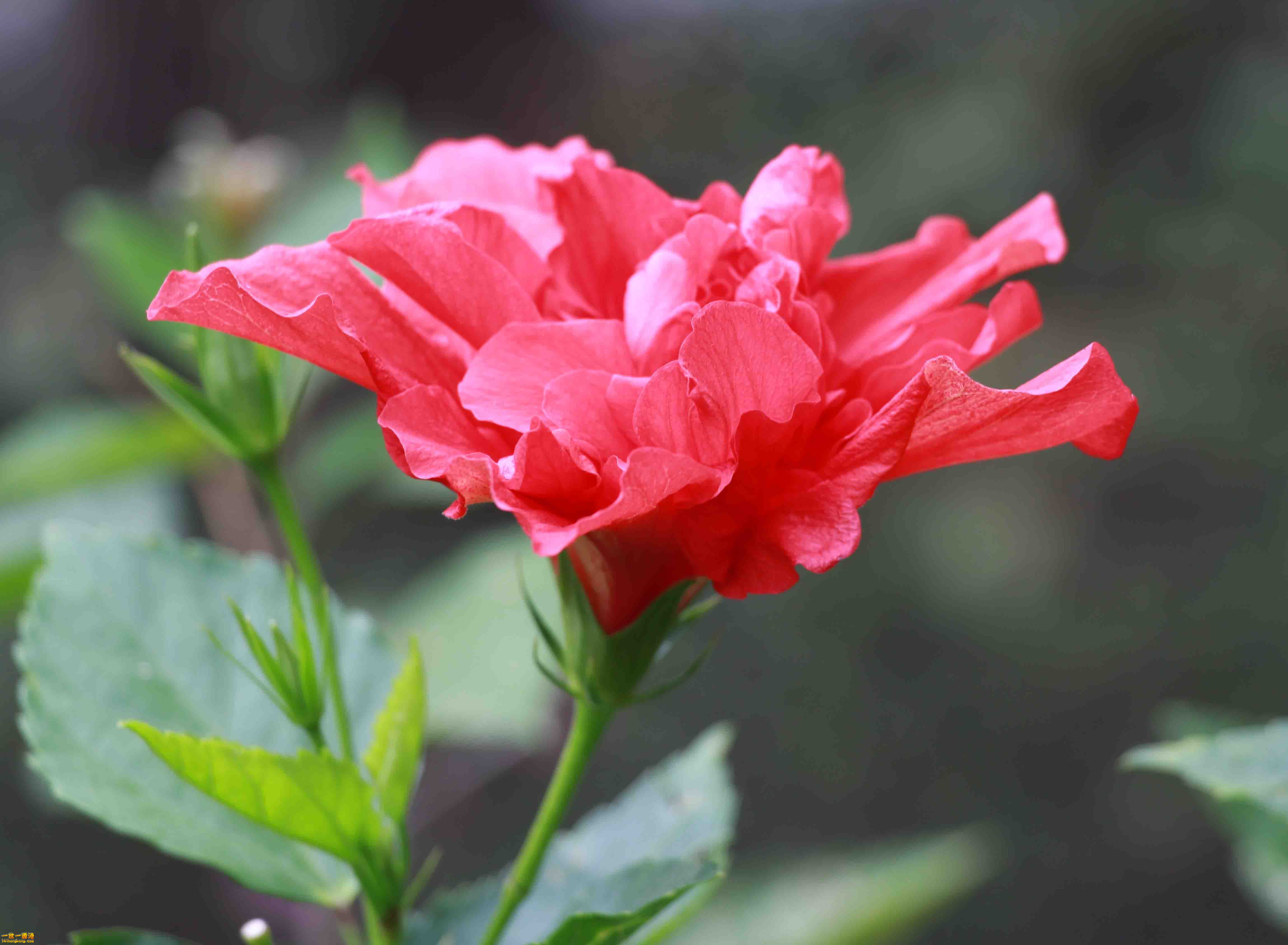 ps_1431.jpg