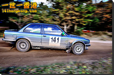 bmw 141.jpg