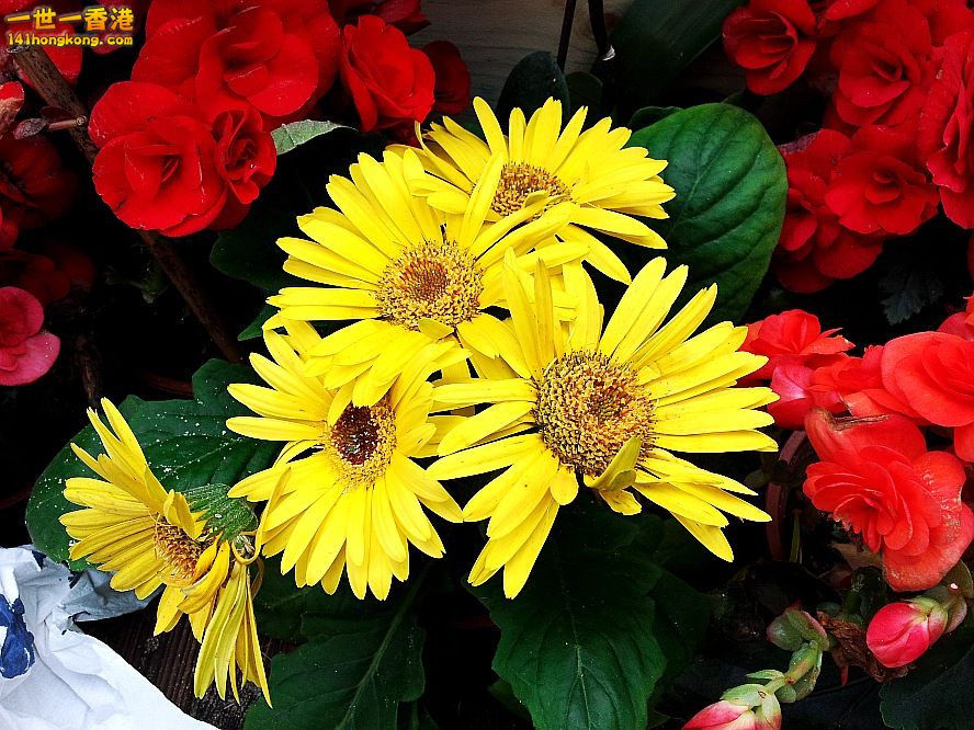 20130315_143412_conew1.jpg