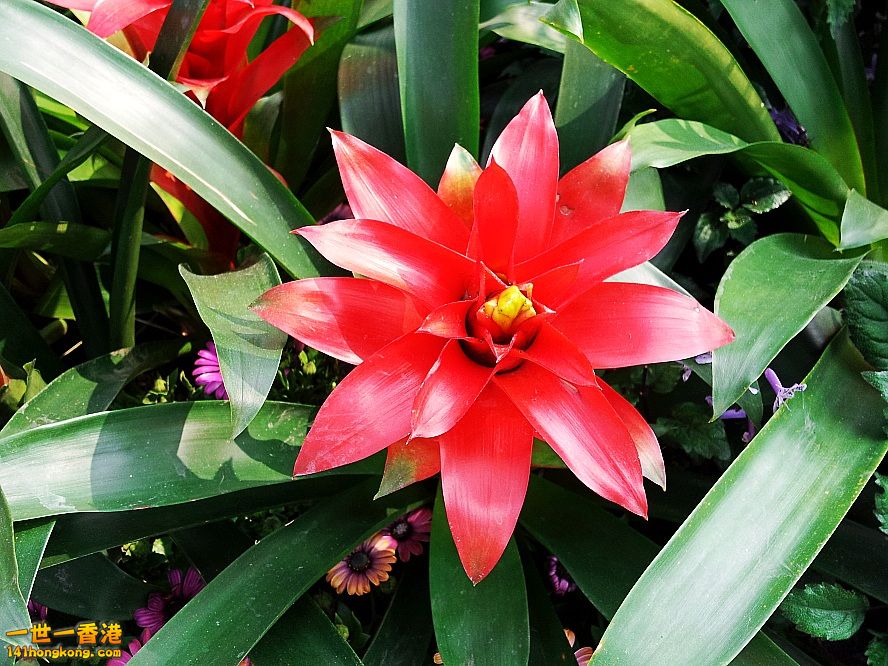 20130315_144429_conew1.jpg
