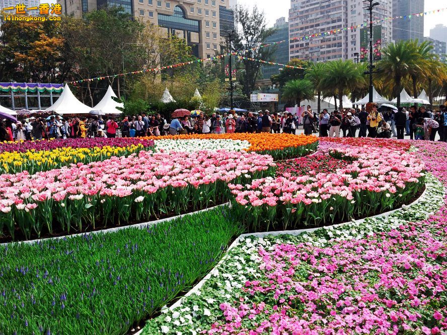 20130315_144819_conew1.jpg