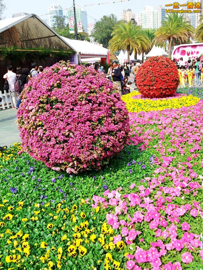 20130315_145545_conew1.jpg