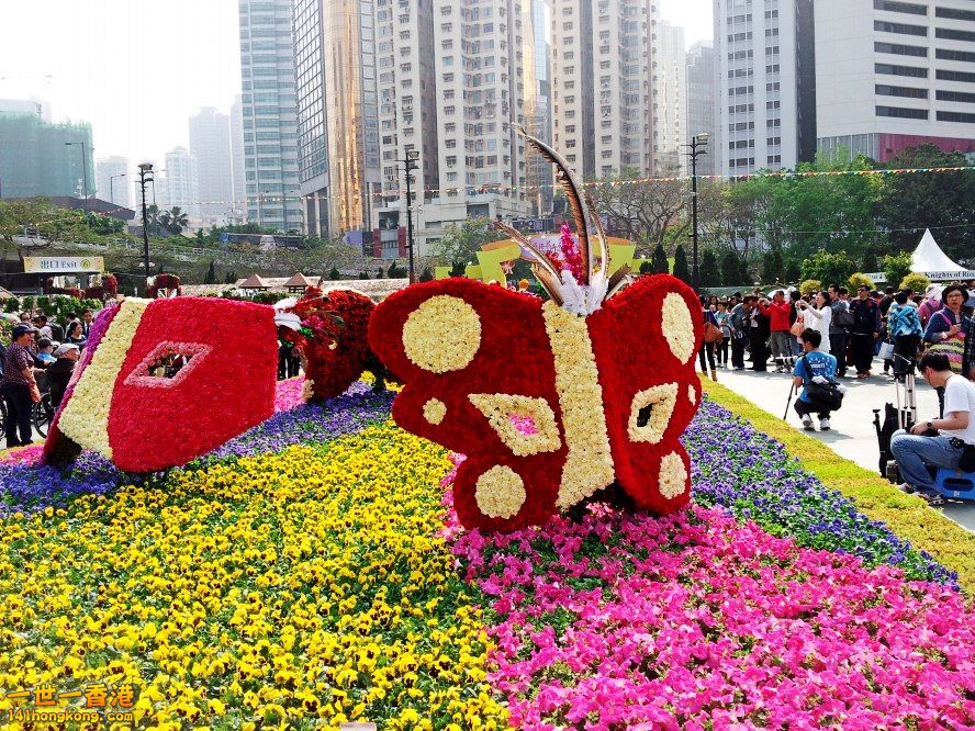 20130315_145940_conew1.jpg