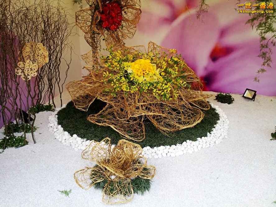 20130315_154409_conew1.jpg