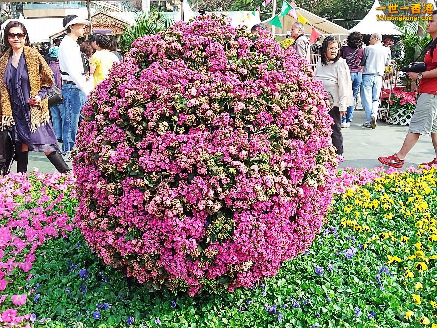 20130315_154451_conew1.jpg