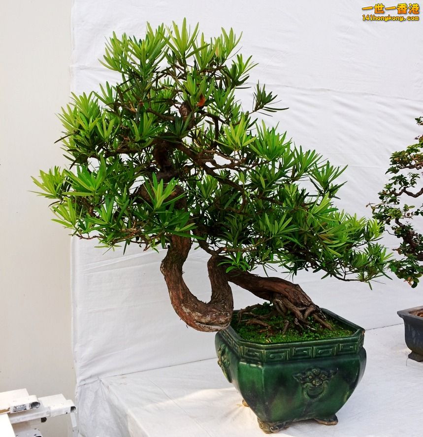 20130315_151420_conew1.jpg
