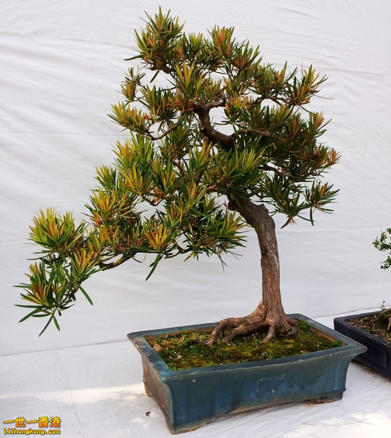 20130315_151439_conew1.jpg