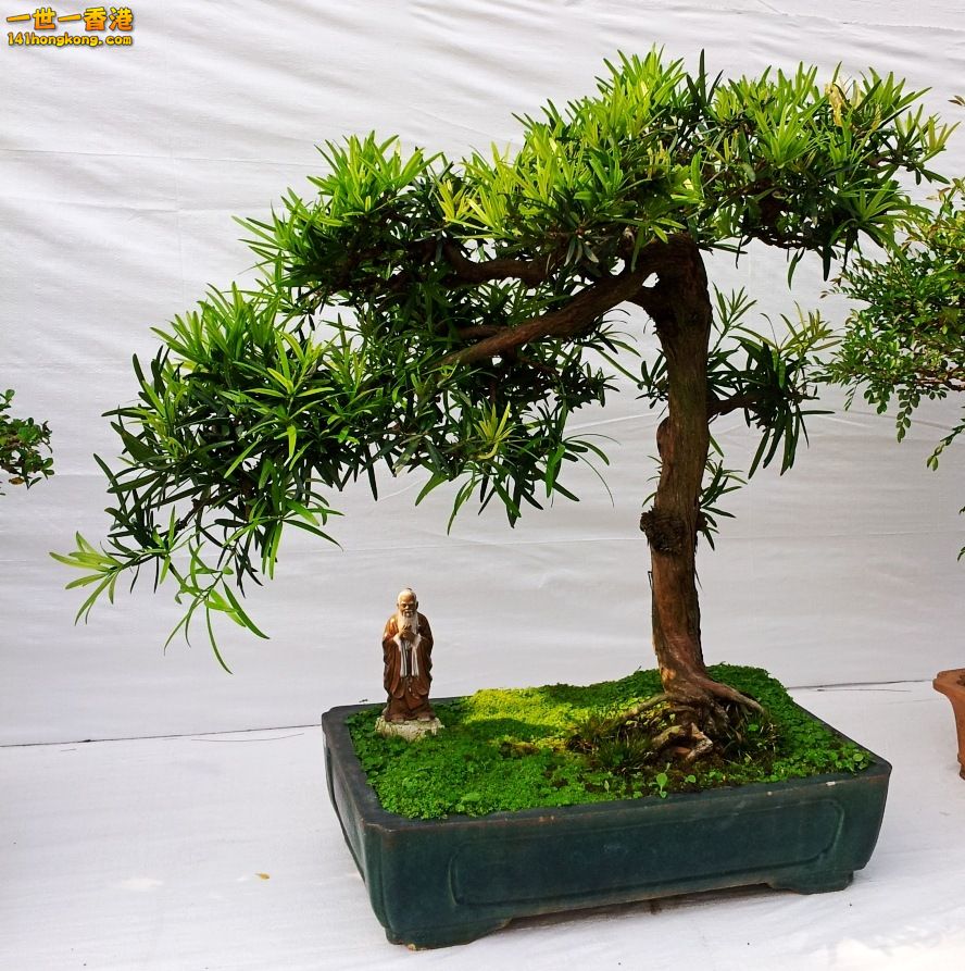 20130315_151537_conew1.jpg