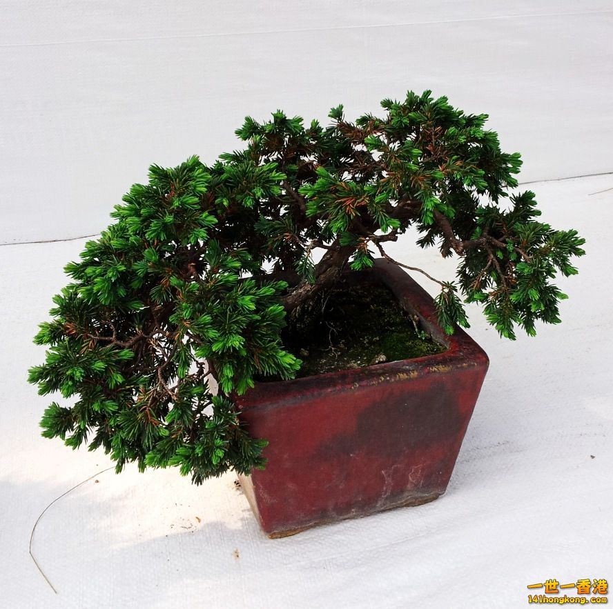 20130315_151616_conew1.jpg
