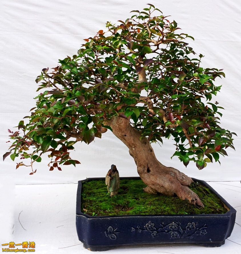 20130315_151717_conew1.jpg
