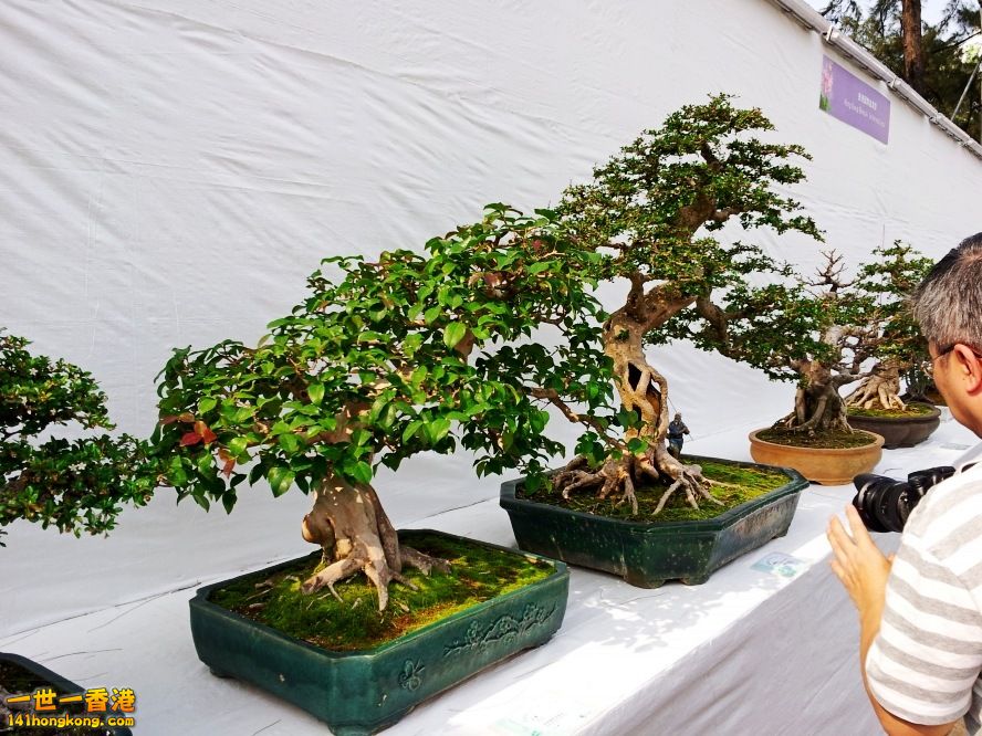 20130315_151731_conew1.jpg