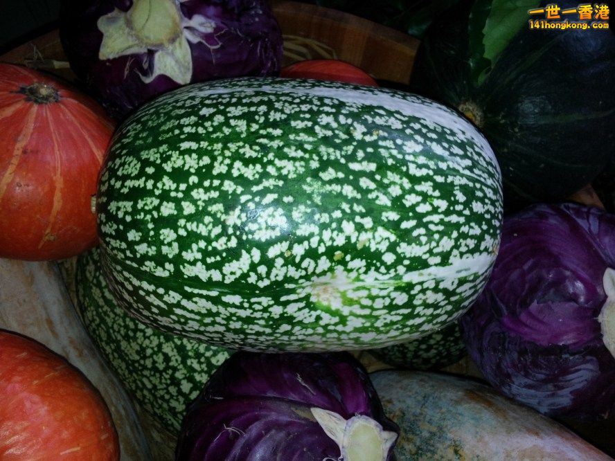 20130315_162703_conew1.jpg