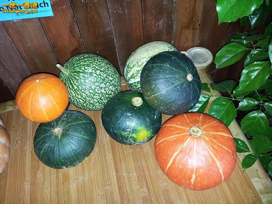 20130315_162757_conew1.jpg