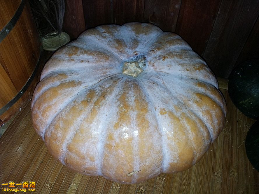 20130315_162803_conew1.jpg