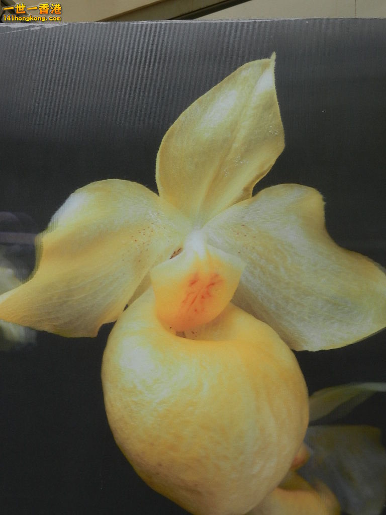 DSCN4126.JPG
