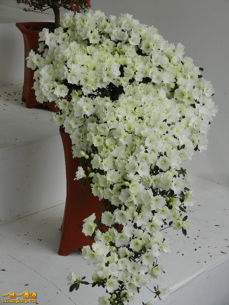 DSCN4133.JPG