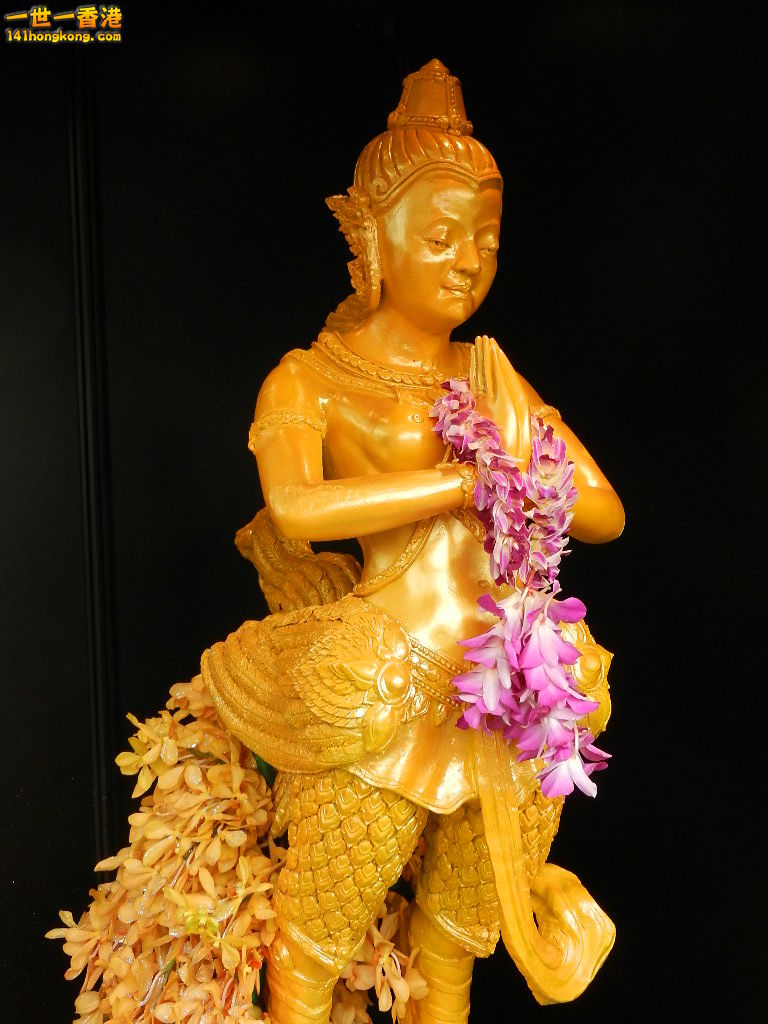 DSCN4219.JPG