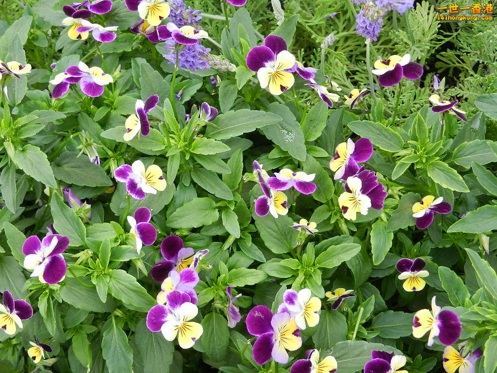 DSCN4226.JPG