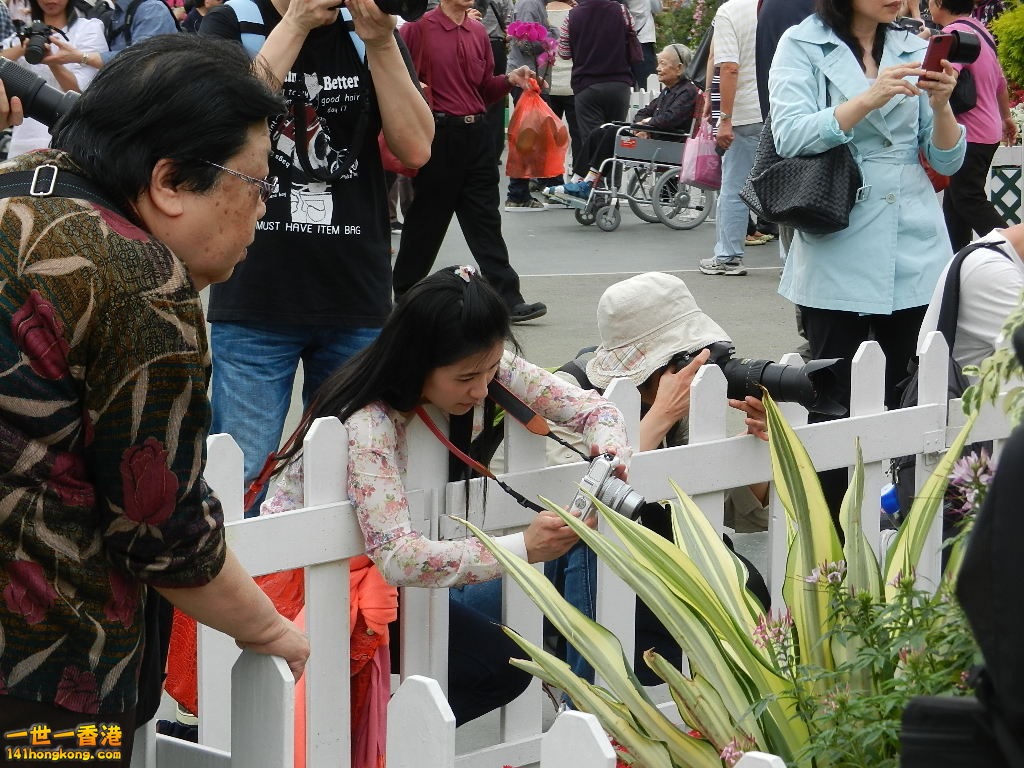 DSCN4193.JPG