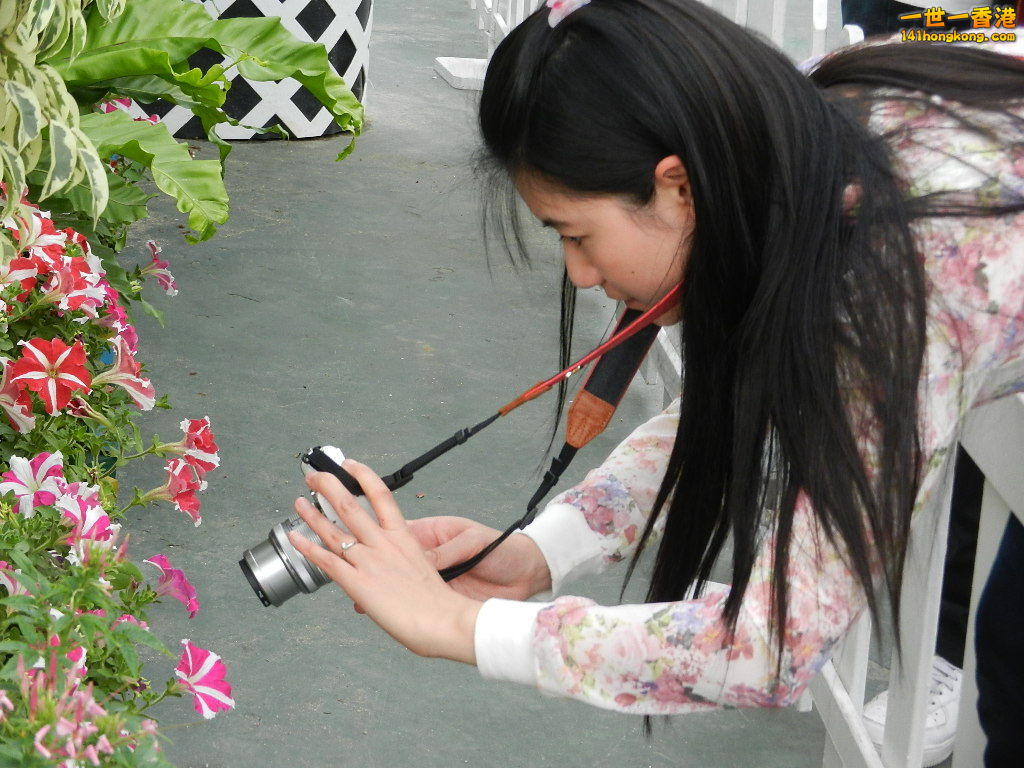 DSCN4195.JPG