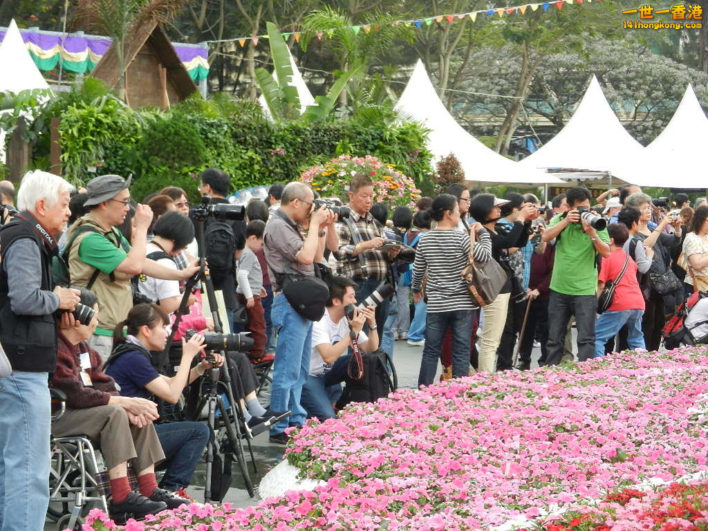 DSCN4198.JPG