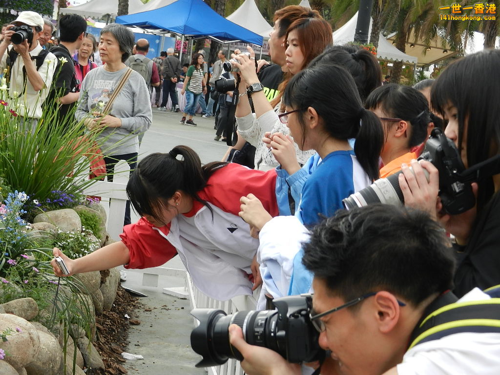 DSCN4208.JPG