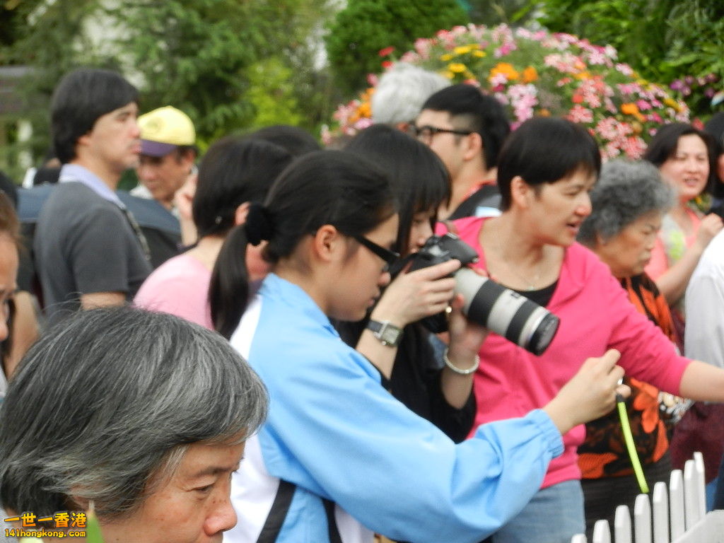 DSCN4211.JPG