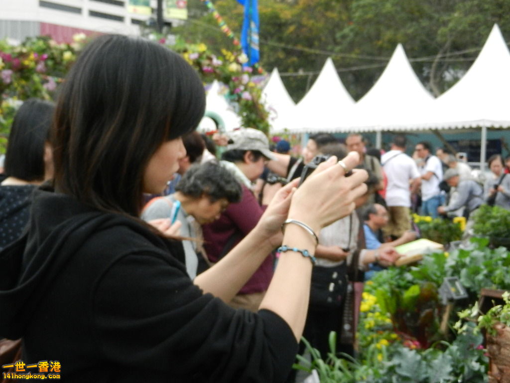 DSCN4228.JPG