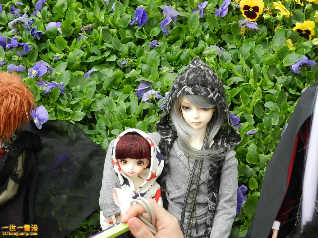 DSCN4258.JPG