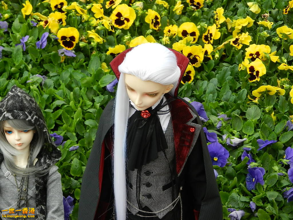 DSCN4259.JPG