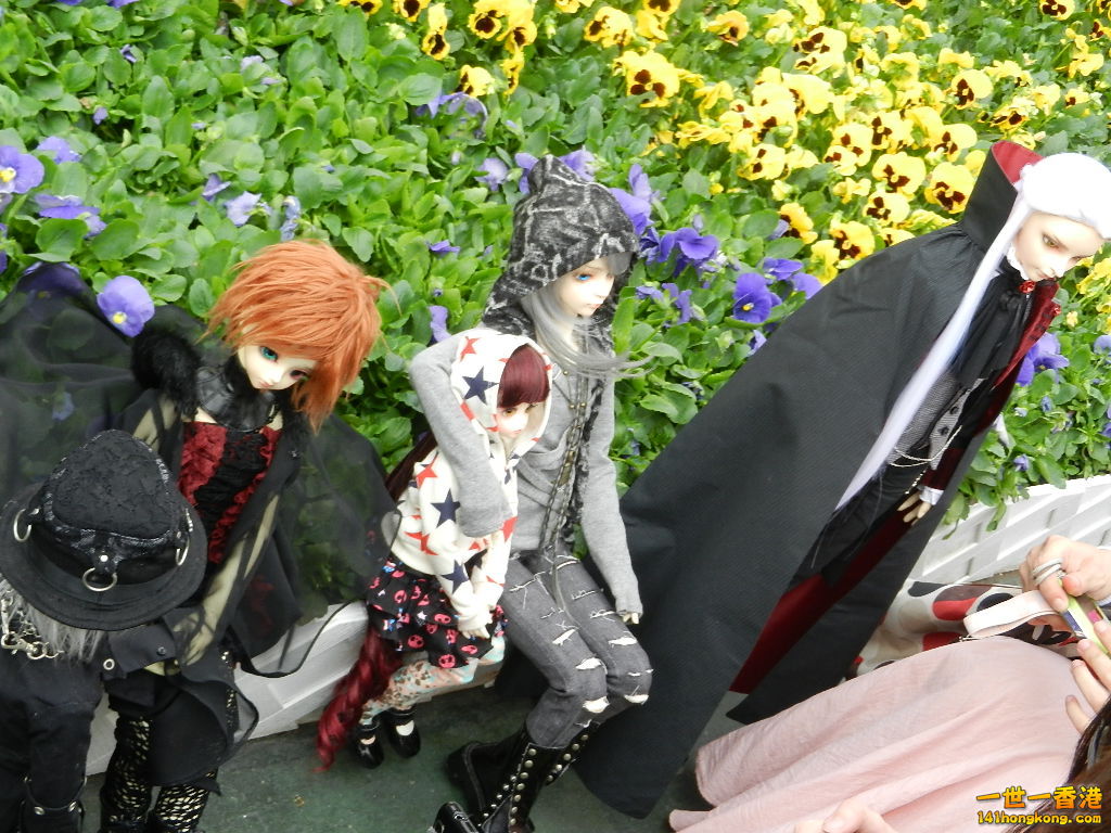 DSCN4260.JPG