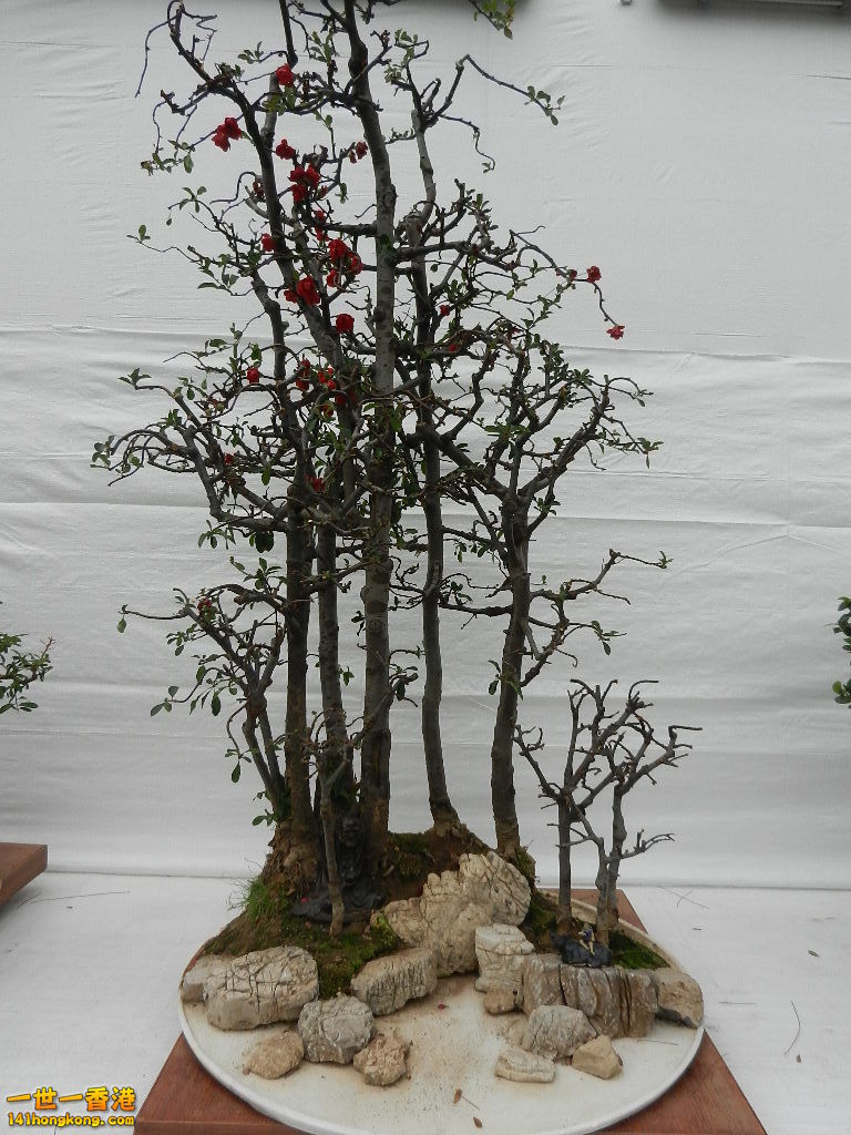 DSCN4147.JPG