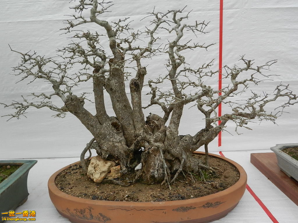 DSCN4149.JPG