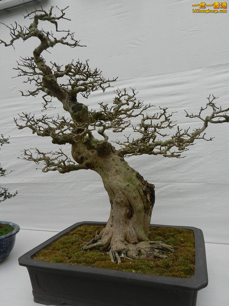 DSCN4150.JPG