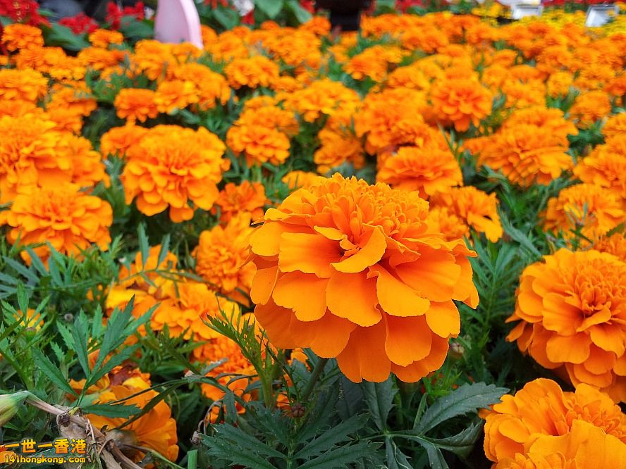 20130315_160658_conew1.jpg