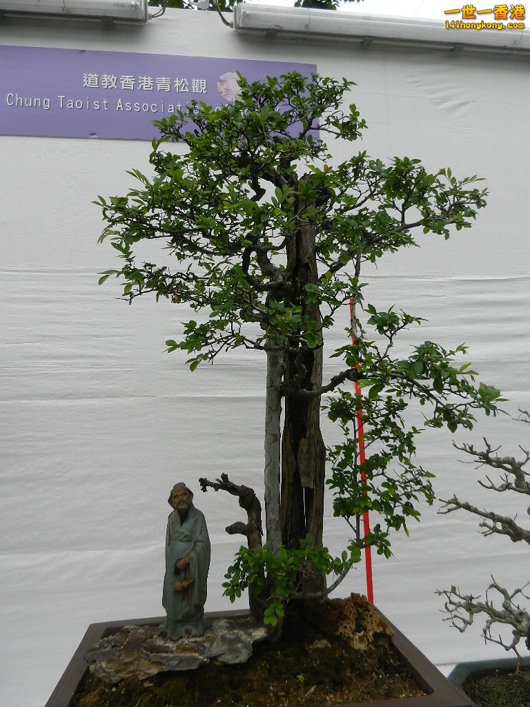 DSCN4151.JPG