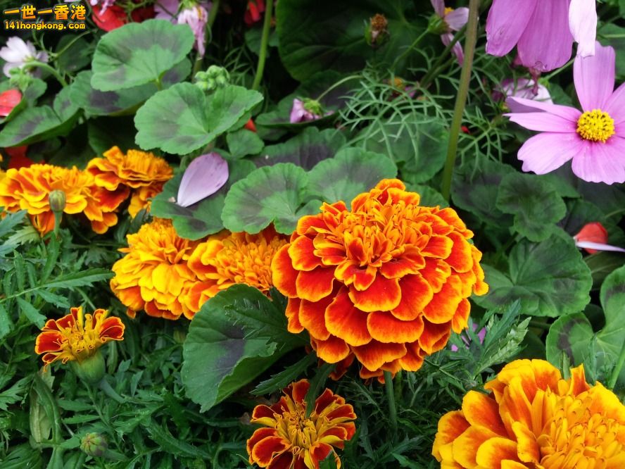 20130315_161336_conew1.jpg