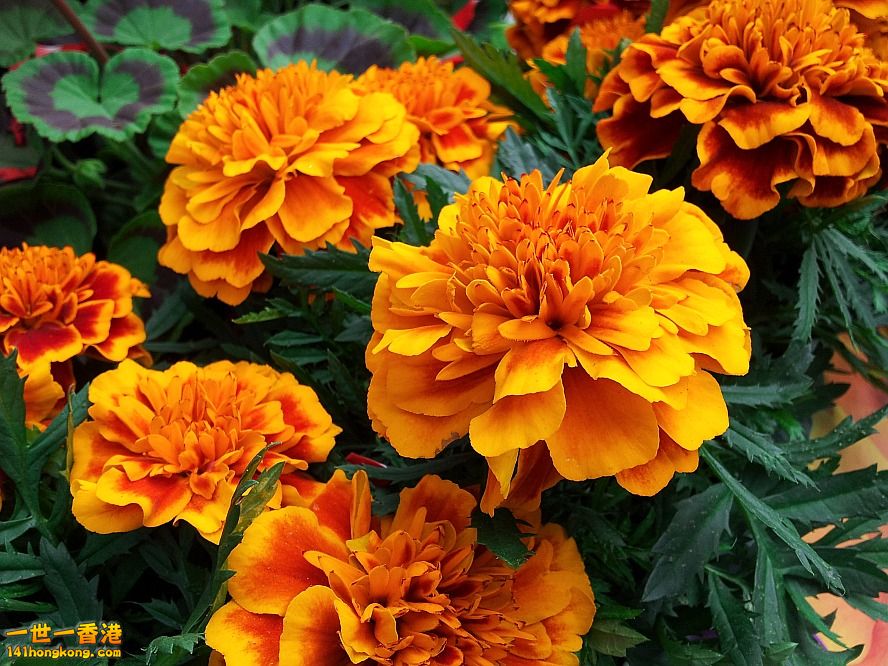 20130315_161351_conew1.jpg
